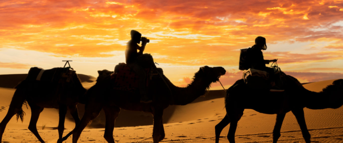 MicrosoftTeams-image (30)